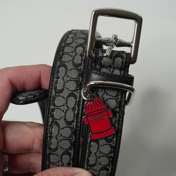 Coach Dog Collar Fire Hydrant Charm Monogram Large Dog Black Gray Red SEE - Picture 1 of 11